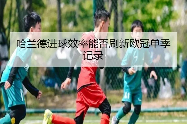 哈兰德进球效率能否刷新欧冠单季记录